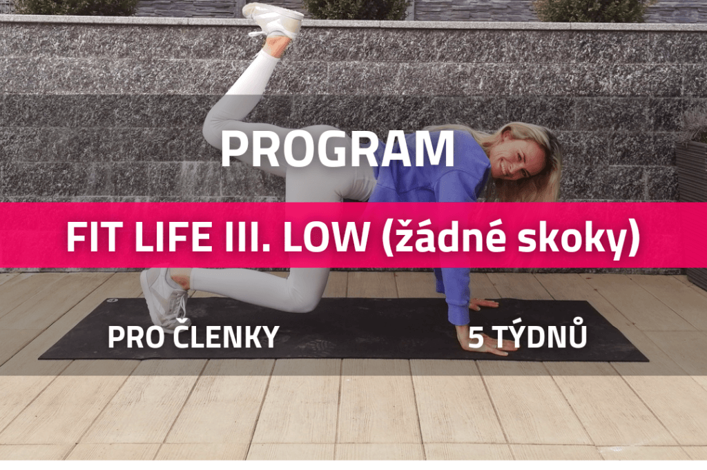 fitness program Fit life 3 low